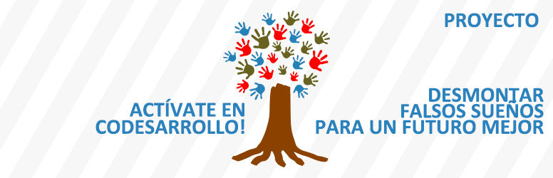 avaluacions