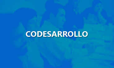 Curs de codesenvolupament